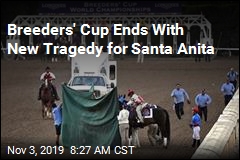 Death Haunts Santa Anita&#39;s Breeder&#39;s Cup