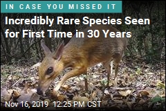 Incredibly Rare Species Seen for First Time in 30 Years