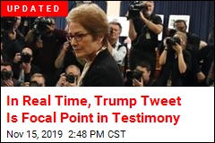 Ex-Ambassador Begins Testifying on Day 2