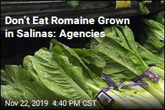 Don&#39;t Eat Romaine Grown in Salinas: Agencies