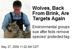 Wolves, Back From Brink, Are Targets Again