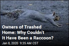 Owners of Trashed Home: Why Couldn&#39;t It Have Been a Raccoon?