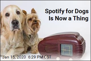 Spotify&#39;s New Playlist Is for Your Dog