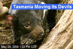 Tasmania Moving Its Devils