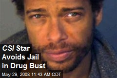 CSI Star Avoids Jail in Drug Bust