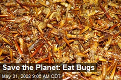 Save the Planet: Eat Bugs