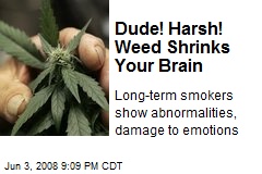 Dude! Harsh! Weed Shrinks Your Brain