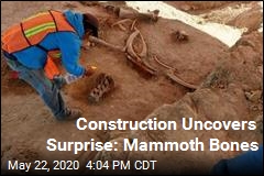 Construction Uncovers Surprise: Mammoth Bones