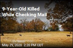 Dogs Blamed in Death of Boy Getting the Mail