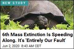 &#39;Entirely Our Fault:&#39; Humans Driving Mass Extinctions