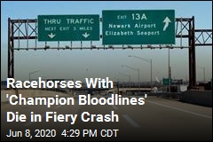 New Jersey Turnpike Crash Claims Lives of 10 Racehorses