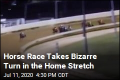 Horse Race Takes Bizarre Turn in the Home Stretch