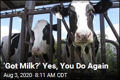 &#39;Got Milk?&#39; Yes, You Do Again