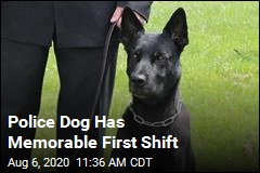 On First Shift, Police Dog Becomes a Hero