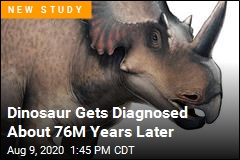 Dinosaur Gets Diagnosed About 76M Years Later