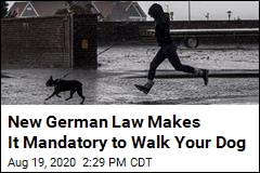 German Law Orders Owners to Walk Dogs Twice a Day