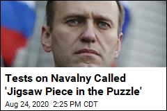 Tests on Navalny Called &#39;Jigsaw Piece in the Puzzle&#39;