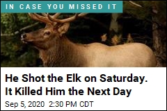 Hunter Killed on Sunday by Elk He Shot Saturday