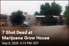 7 Shot Dead at Marijuana Grow House