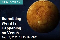 In Clouds of Venus, a Tantalizing Find