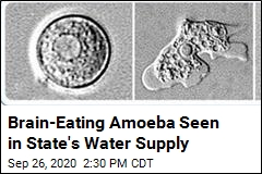 Texas Officials Issue Warning Over Brain-Eating Amoeba