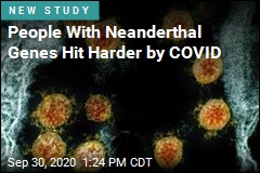 Neanderthal Genes Are COVID Risk Factor