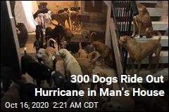 Facing a Hurricane, Man Opens Home to 300 Dogs