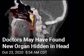 Doctors May Have Found New Organ Hidden in Head