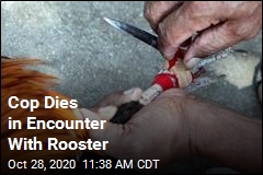 Cop Dies in Encounter With Rooster