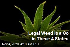 Legal Weed Is a Go in These 4 States