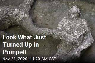 Look What Just Turned Up in Pompeii