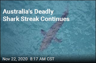 Australia&#39;s Deadly Run of Shark Attacks Continues