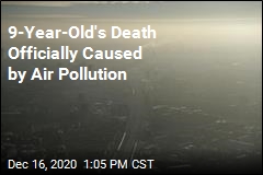 Landmark Ruling: This Pollution Caused Girl&#39;s Death