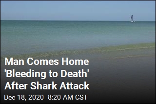 Injured Florida Man Walks Home After Shark Attack