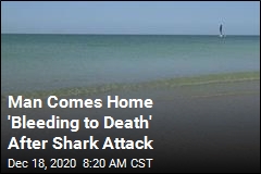 Injured Florida Man Walks Home After Shark Attack