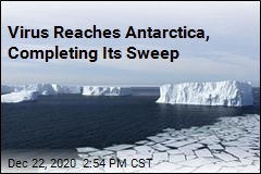 Antarctica Is No Longer Untouched by the Virus