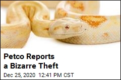 Cops on the Lookout for 2 Snake Shoplifters