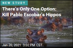 There&#39;s Only One Option: Kill Pablo Escobar&#39;s Hippos