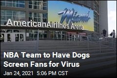 Team&#39;s Fans Will Have to Get Past Virus-Sniffing Dogs