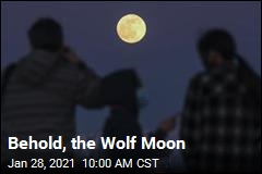 The Wolf Moon Is Coming