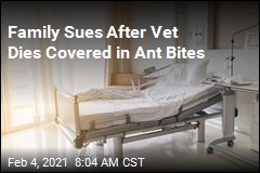 Lawsuit: Vet Died After More Than 100 Fire Ant Bites