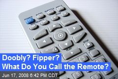 Doobly? Fipper? What Do You Call the Remote?