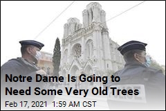 France Needs 1.5K Ancient Oaks for Notre Dame Rebuild