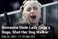 Lady Gaga Offers Huge Reward After Dogs Taken, Walker Shot