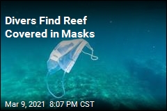 Divers Find Reef Covered in Masks