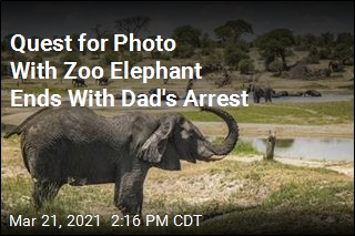 Quest for Photo With Zoo Elephant Ends With Dad&#39;s Arrest