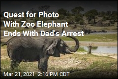 Quest for Photo With Zoo Elephant Ends With Dad&#39;s Arrest