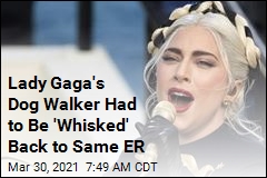 Lady Gaga&#39;s Dog Walker Had to Be &#39;Whisked&#39; Back to Same ER