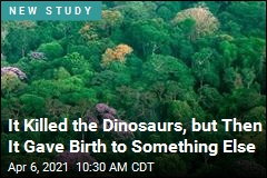 It Killed the Dinosaurs, but Then It Gave Birth to Something Else