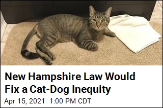 New Hampshire Bill Would Remedy a Cat-Dog Inequity
